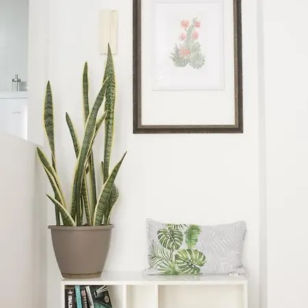 Corralejo Center, Coliving&Coworking *